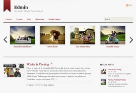 Edmin WordPress Theme
